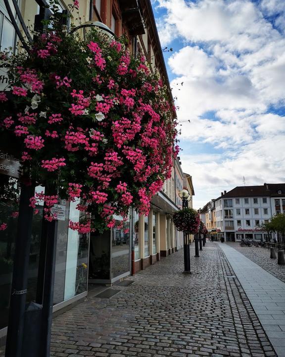 Sternl Altstadt Nr. 1